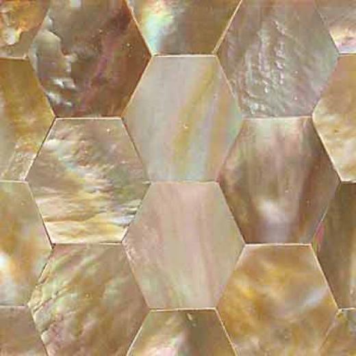 Daltile Ocean Jewels Honeycomb Brown Lip Tile & Stone