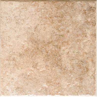 Daltil ePassaggio 18 X 18 Sorano Brown Tile & Stone