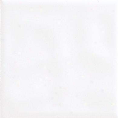 Daltile Semi-gloss 6 X 6 Arctic White Tile & Stone