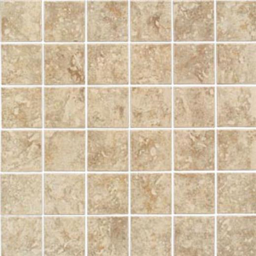 Daltile Stone Valley Inlaid Thatch Straw Tile & Stone