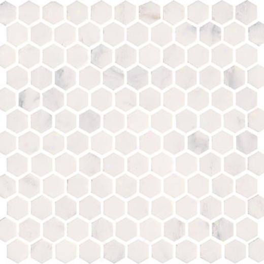 Florida Tile Pierta Art Mosaics Hexagon Honed White Statuary Tile & Stone