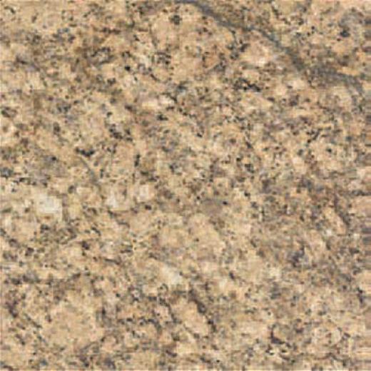 Florida Tilee Pietra Art Granite 12 X 12 Gallo Veneziano Tile & Stone