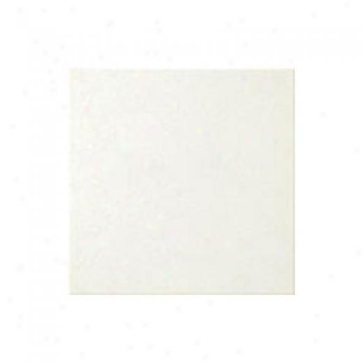 Florida Tile Retro Classic 6 X 6 White Tile & Stone