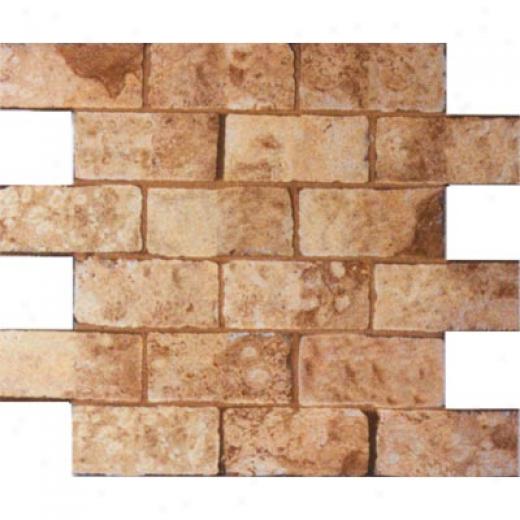 Geo Ceramiche Celtic Mosaic 2 X 4 Cotto Tile & Stone
