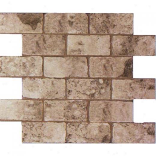Geo Cermaiche Celtic Mosaic 2 X 4 Noce Tile & Stone