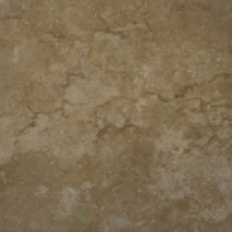 Ilva Pietr3 Travertine 14 X 14 Noce Tile & Stone