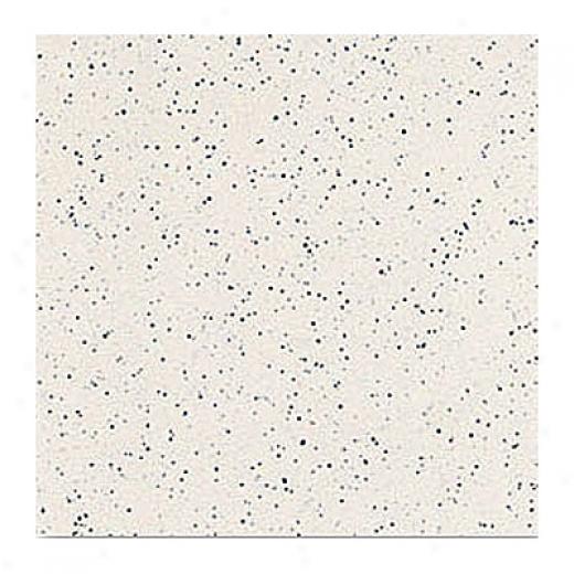Interceramic Intertech Unglazed 12 X 12 Matte Grp 2 Color Dot Super White Tile & Stone