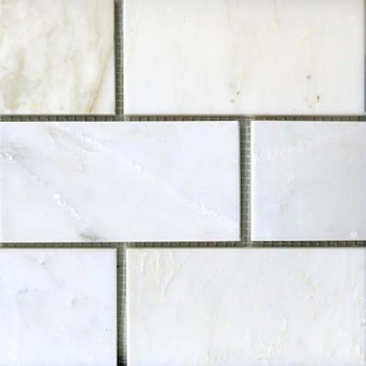 Maestro Mosaics Marble 3 X 6 Polished Calcata Tile & Stone