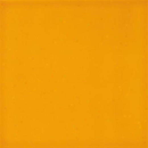 Marazzi Architettura 4 X 4 Bill (orange) Tile & Stone