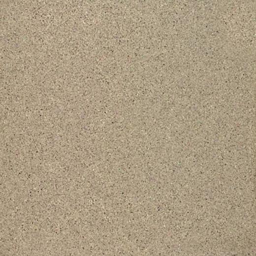 Marazzi Graniti Polished 16 X 16 Malaga (pewter) Tile & Stone