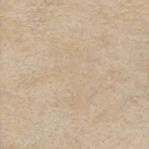 Marazzi Safari 8 X 8 Capetown Tile & Stone