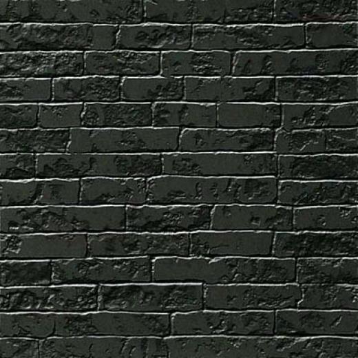 Marazzi Sigilli Polished 12 X 12 Sestino Nero (black) Tile & Stone