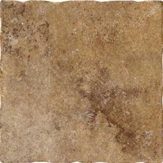 Marazai Tiber 12 X 12 Brown Tile & Stone
