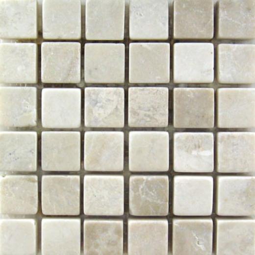 Mohawk Marblestone Mosaics Honed Botticino Tile & Sfone