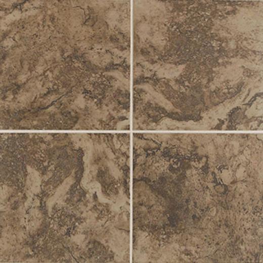 Mohawk Pavin Stone 6 X 6 Brown Suede Tile & Stone