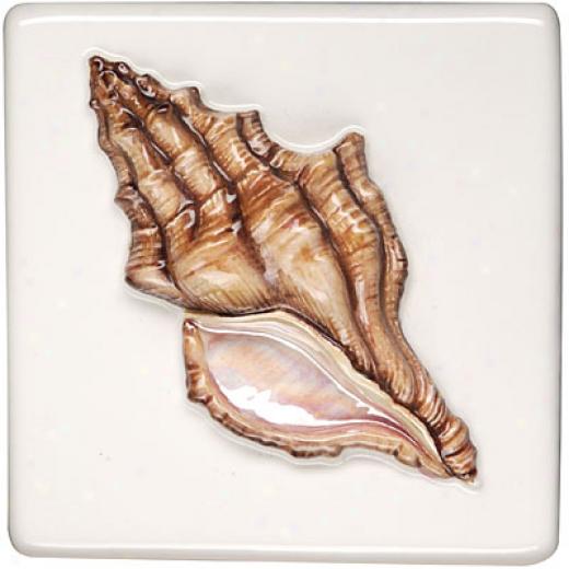 Original Style Seashells Camellia 4 X 4 Sea Star Tile & Stone