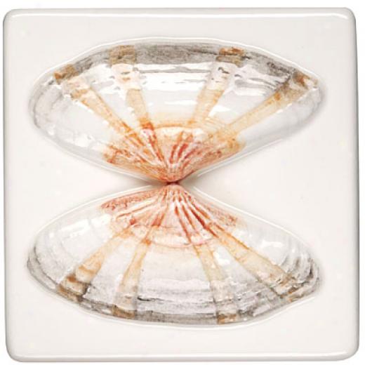 Oroginal Style Seashells Cajellia 4 X 4 Butterfly Shell Tile & Stone