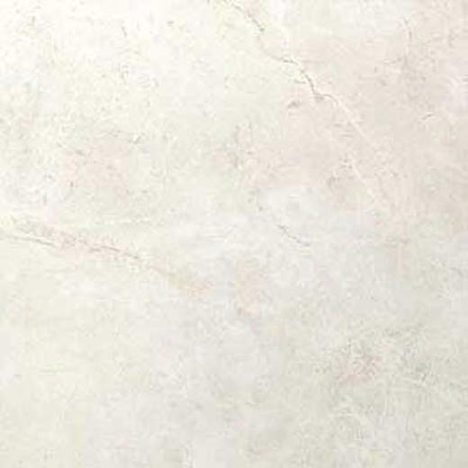Portobello Marfil 8 X 10 White Tile & Stone