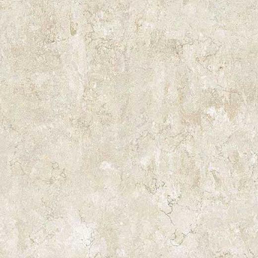 Portobello Marmi 18 X 18 Perlino Bianco Tile & Stone