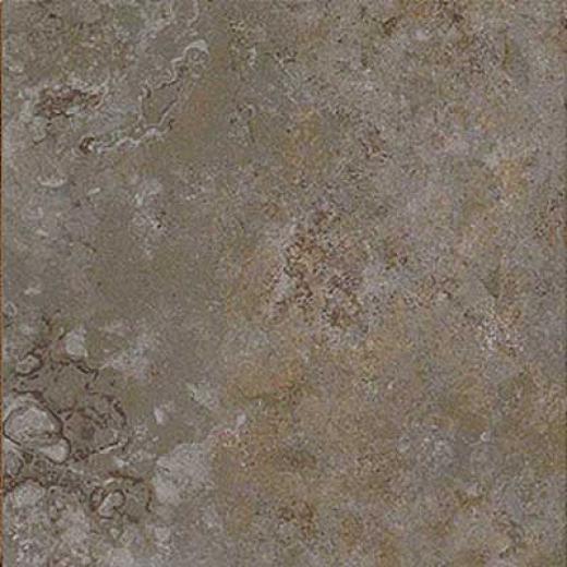 Ragno Eclipse 13 X 13 Garden Shde Ve Tile & Stone