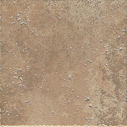 Ragno Petra 20 X 20 Auratus Tile & Free from ~s