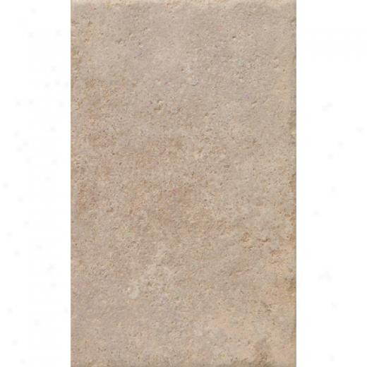 Reel & Rock Shellstone 13 X 21 Marron Tile & Stone