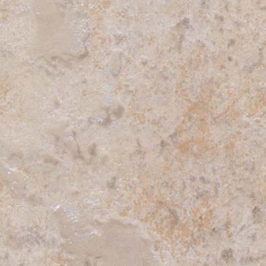 Tesoro Tropical 8 X 10 Beige Tile & Free from ~s