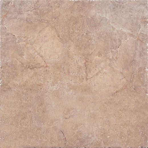 Tesoro Zendo 13 X 13 Dust Tile & Stone