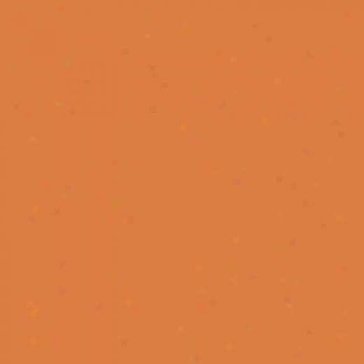 United States Ceramic Tile Color Collection 6 X 6 Bright Glaze Tangerine Tile & Stone