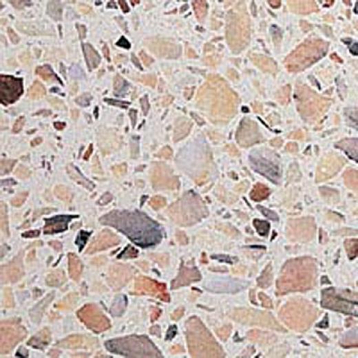 Wausau Tile Traditional Terrazzo 24 X 24 (type 1) Wt781 Tile & Stone