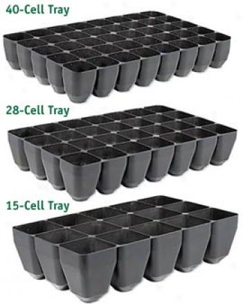28-cell Tray