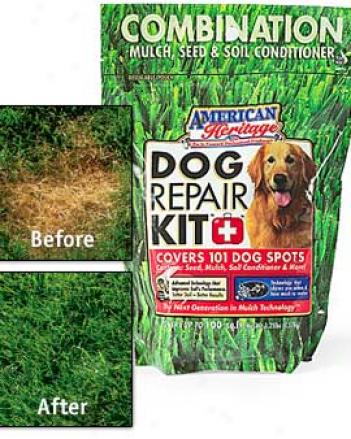 Dog Repair Grass Kit™