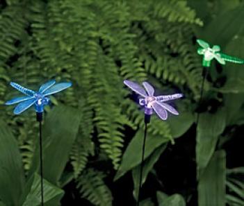Dragonfly Solar Lights, Set Of 3