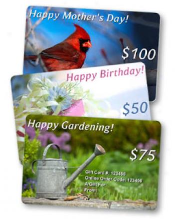 E-mail Gift Card
