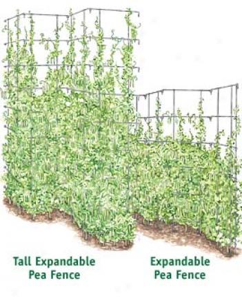 Expandable Pea Fence, 8 Panel