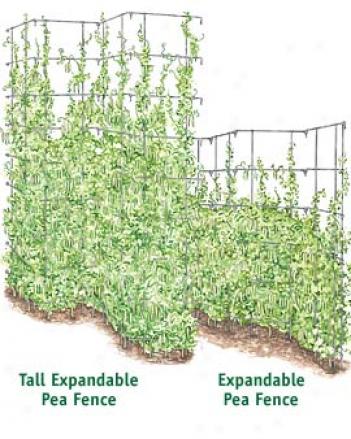 Expandable Pea Fence