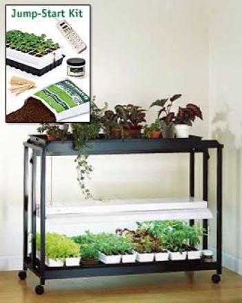 Floor Model Sunlite® Garden With Jump-start Kit