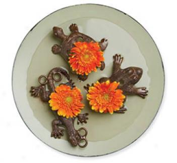 Flower Frogs, Set Of 3
