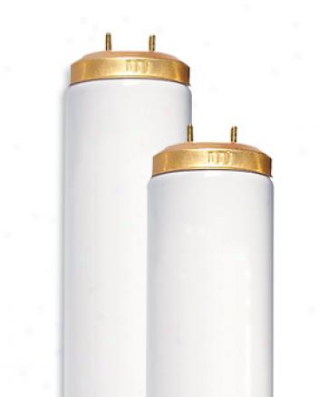 Full-spectrum 2-ft T-12 Bulbs, Set Of 2