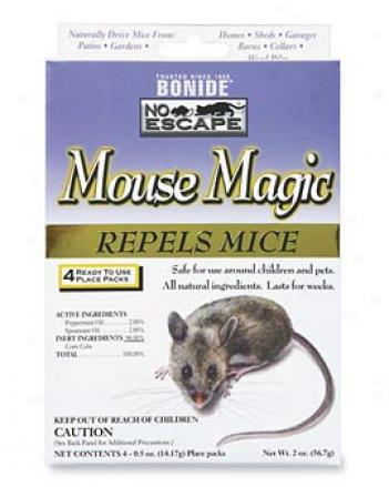 Indoor Mouse Magic
