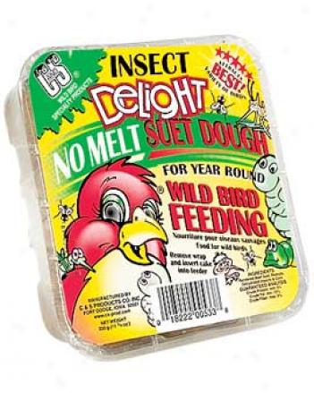 Insect Delight Suet Cakes, 3 Pack