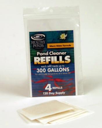 Lily Refills, Set Of 4
