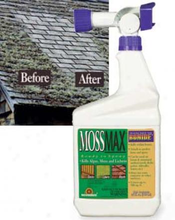 Moss Control Spray