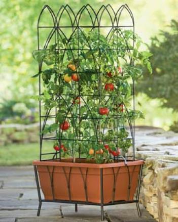 Newbury Frame, Planter And Trellis Kit, 31