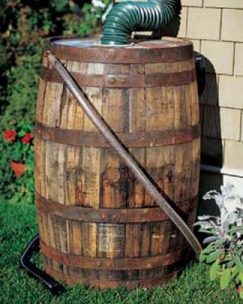 Real Oak Rain Barrel