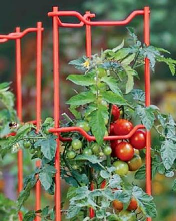 Red Tomato Ladders, Stake Of 5