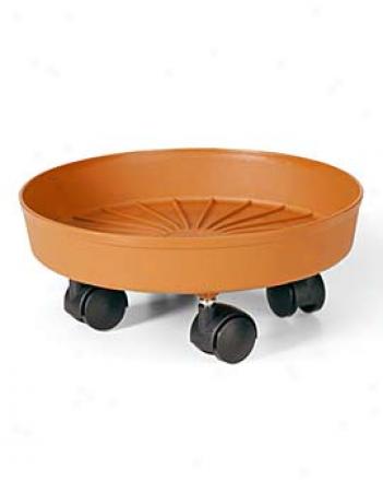 Rolling Saucer, Small