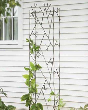 Rustic Twig Trellis