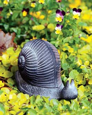 Snail Hide-a-key