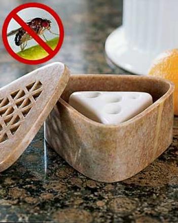 Soapstone Box With Two Fruit Fly Goods